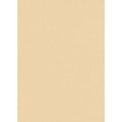 Erismann 10262-02 Jednobarevná tapeta Obyčejné tapety, rozměry 0,53 x 10,05 m
