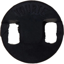Dictum 543521 - TOURTE
