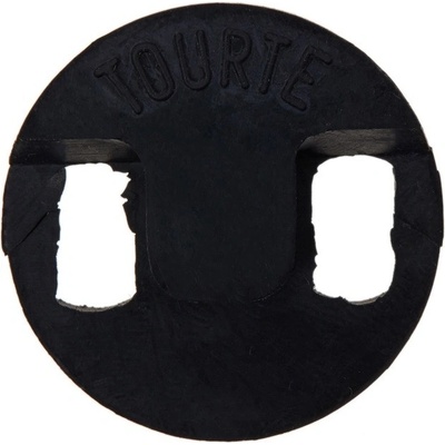 Dictum 543521 - TOURTE