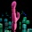 EVOLVED Pink Dragon Pink