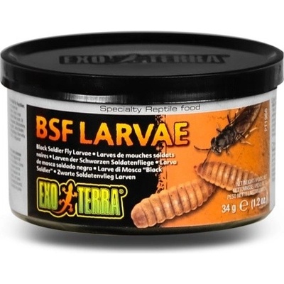 Exo Terra BSF Larvae 34 g