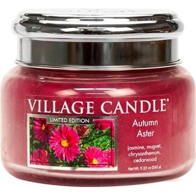 Village Candle Autumn Aster 262 g