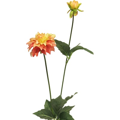 Jiřinka - Dahlia Mini peach/oranžová V70 cm