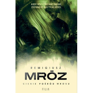 Cienie pośród mroku | Mróz Remigiusz (2024)