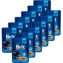 Brit Premium Cat Kitten Chicken Chunks 12 x 100 g
