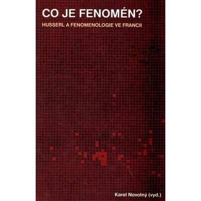 Co je fenomén?