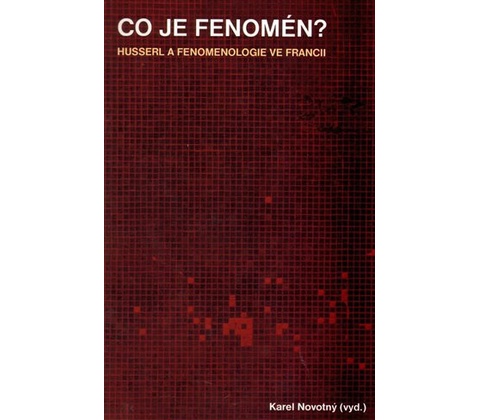 Co je fenomén?