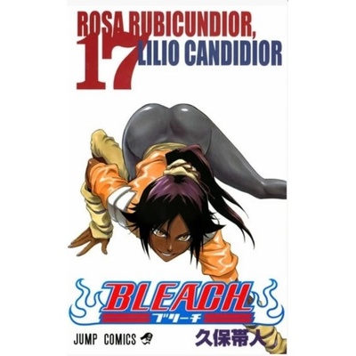 Bleach 17: Rosa Rubicundior, Lilio CZ [Tite Kubo]