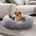Petstuff Pelech