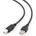 Gembird CCP-USB2-AMBM-1M
