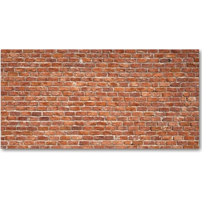 Foto obraz sklo tvrzené murovaný múr 100x50 cm