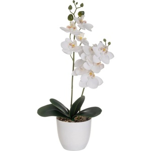 Casa Selección Изкуствено цвете (височина 39 cm) Orchid - Casa Selección (806111)