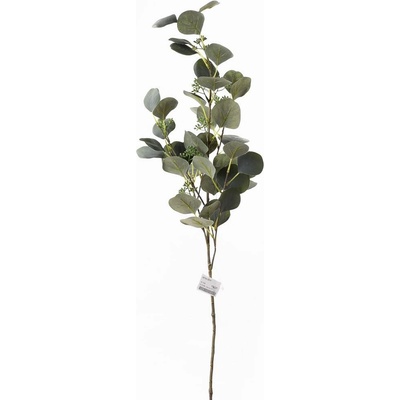 KONÁR EUCALYPTUS POPULUS PLODY 86CM