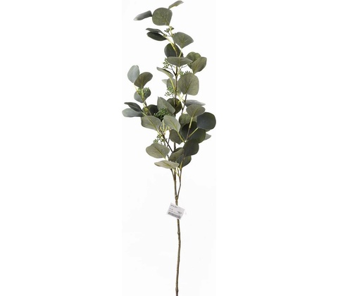 KONÁR EUCALYPTUS POPULUS PLODY 86CM