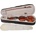 Bacio Instruments GV103F