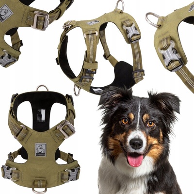 Truelove Postroj pro psa Adventure Dog