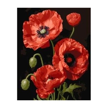Qbee Paint by numbers - Red Poppies 40x50cm