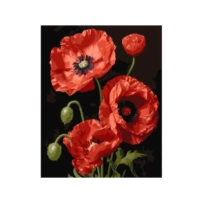 Qbee Paint by numbers - Red Poppies 40x50cm