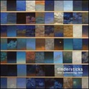 TINDERSTICKS: SOMETHING RAIN LP