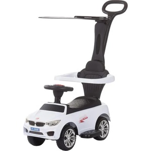 Chipolino Flash (ROCFLH0210)