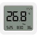 Xiaomi Xiaomi Mi Temperature and Humidity Monitor 2