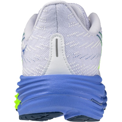 Mizuno Wave Rider 29