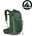 Osprey TALON 22 туристическа раница, green canopy/pine leaf (10054192OSP)