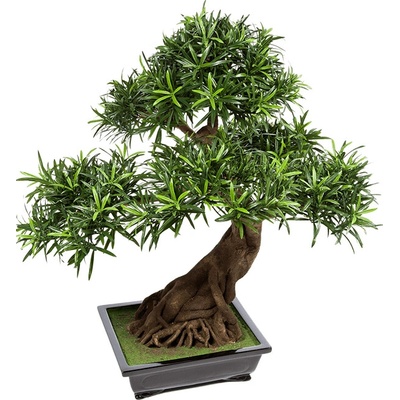 Umelá rastlina Podocarpus bonsai 80 cm