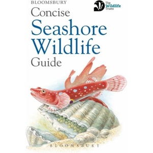 Concise Seashore Wildlife Guide | Bloomsbury (ISBN: 9781472968296)