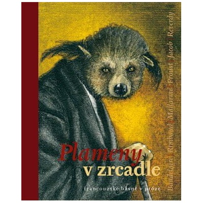 Plameny v zrcadle - Zdeněk Hron