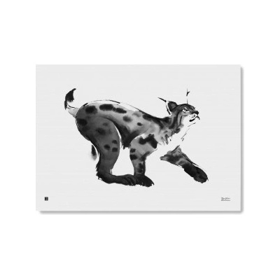 Plakát Lynx velký 50x70 cm Teemu Järvi Illustrations