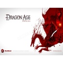 Dragon Age Origins