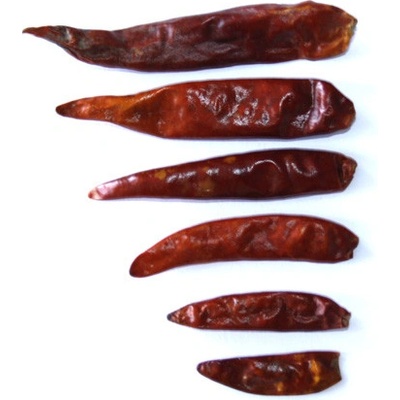 Profikoření Chilli papričky celé 4-6 cm 50 g