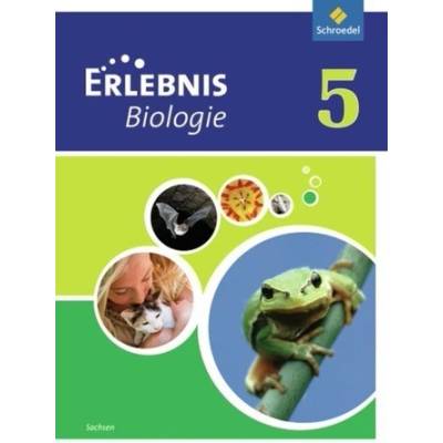 5. Schuljahr, Schülerband