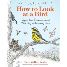 How to Look at a Bird: Open Your Eyes to the Joy of Watching and Knowing Birds Leslie Clare WalkerPaperback