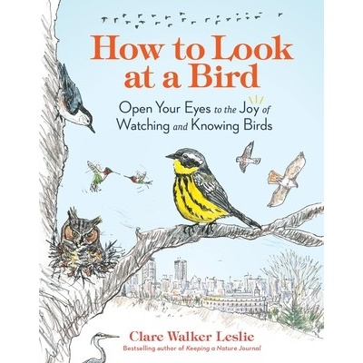 How to Look at a Bird: Open Your Eyes to the Joy of Watching and Knowing Birds Leslie Clare WalkerPaperback