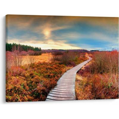 Obraz - Podzimní cesta krajinou, jednodílný 70x50 cm – Hledejceny.cz