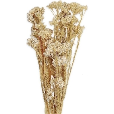 Mountain rice flower 80g bílá