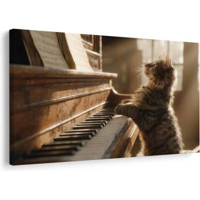 Obraz kočka a piano - 30x20