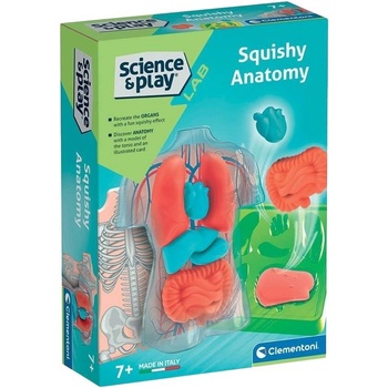 Clementoni Образователен комплект Clementoni Science & Play - Squishy Anatomy (75130)