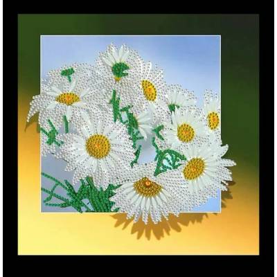 Маргаритки 24/24 см