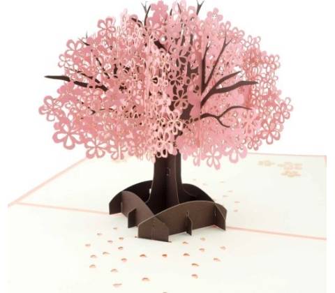 3D přání - Sakura