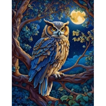 Norimpex - Puzzle Diamant painting: Owl in the glow of the full moon 30x40cm - 1 - 39 piese