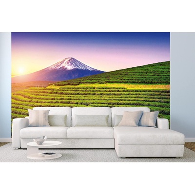 DIMEX ART Самозалепваща се флизелинова фототапета фуджи, япония 375 x 250 см