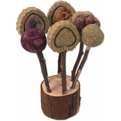 PLAČEK okusovací lízátka 17cm