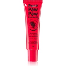 Pure Paw Paw Ointment balzám na rty a suchá místa 15 g