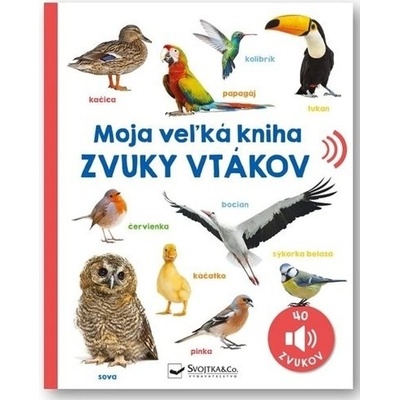 Zvuky vtákov