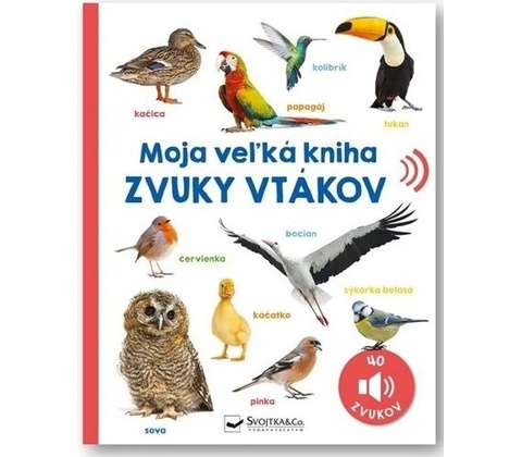 Zvuky vtákov