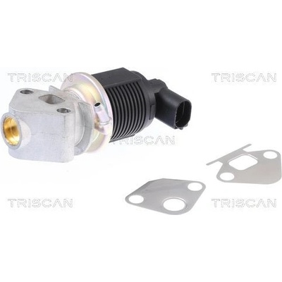 AGR - Ventil TRISCAN 8813 29009