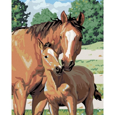 zuty Malování podle čísel Kobyla s hříbětem 40 x 50 cm vypnuté plátno na rám 8596530005414